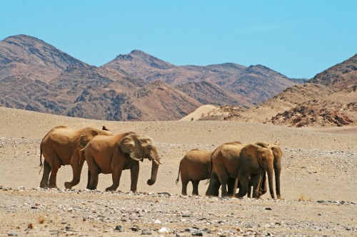 Khowarib Lodge lomgeving 2